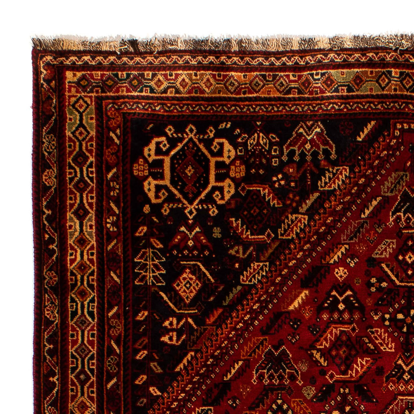 Shiraz Tapete 294x190cm - Tapete persa