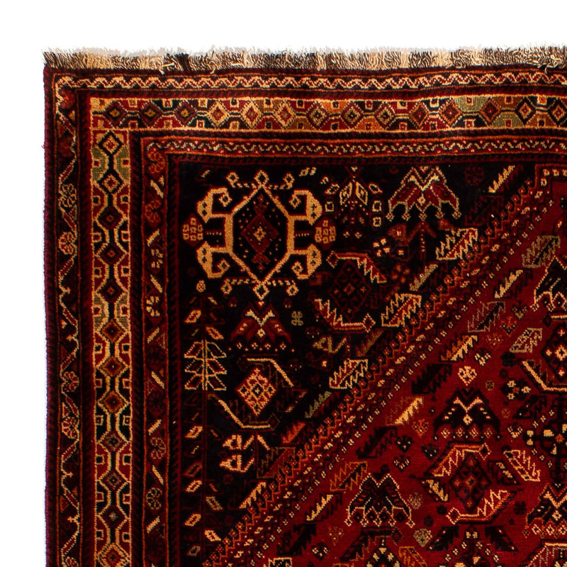Shiraz Tapete 294x190cm - Tapete persa