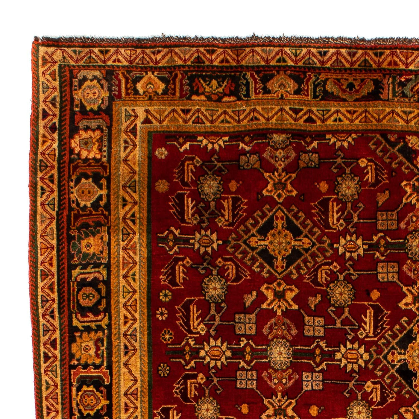 Shiraz Tapete 296x190cm - Tapete persa