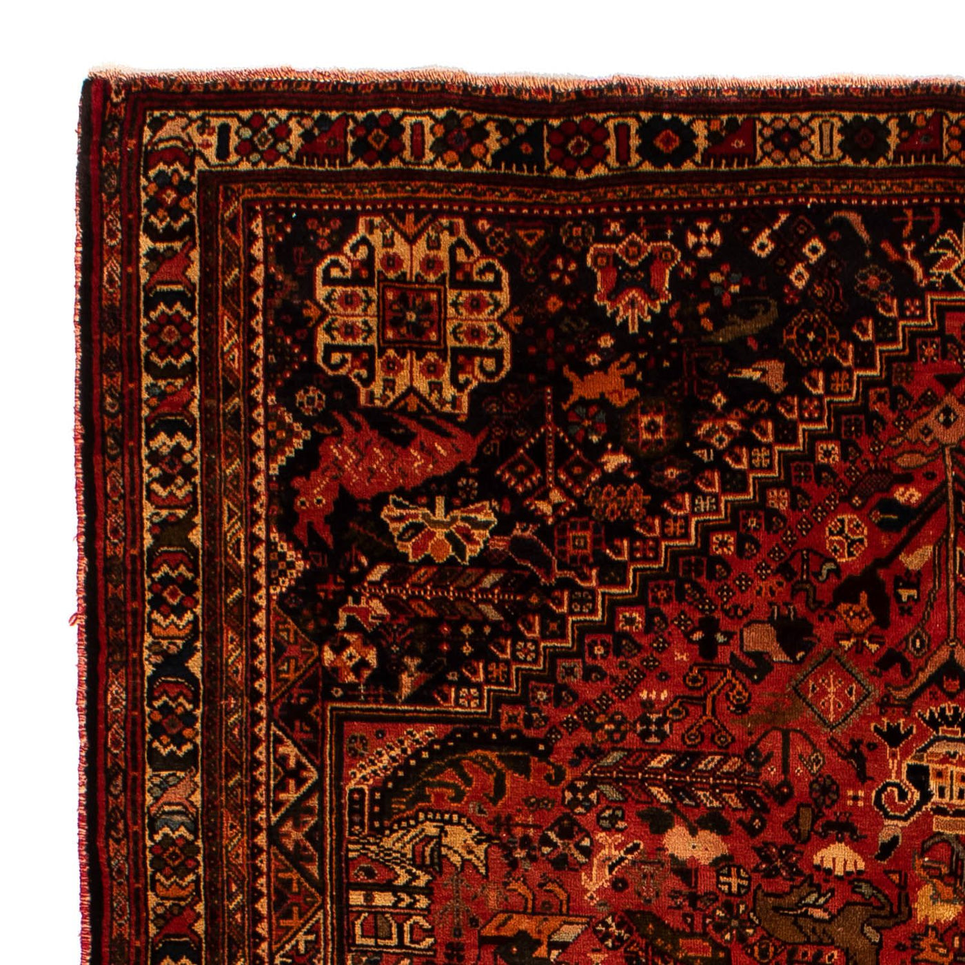 Shiraz Tapete 268x205cm - Tapete persa