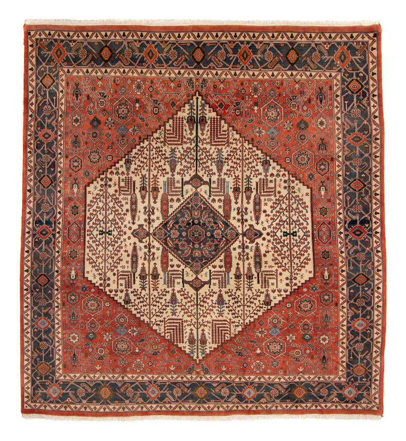 Kashkuli Tapete 230x258cm - Tapete persa