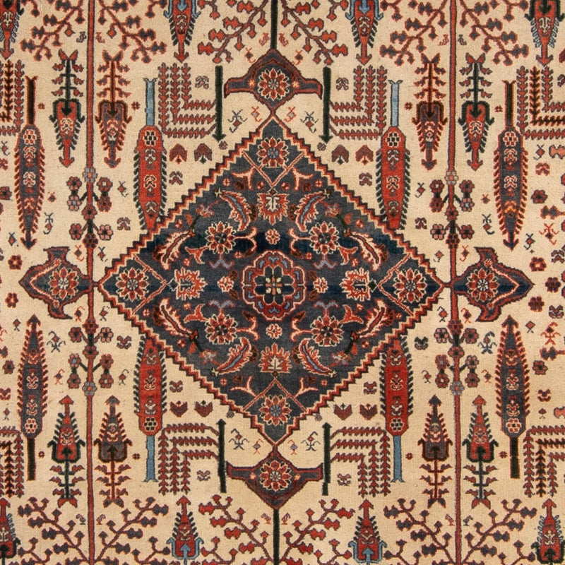 Kashkuli Tapete 230x258cm - Tapete persa