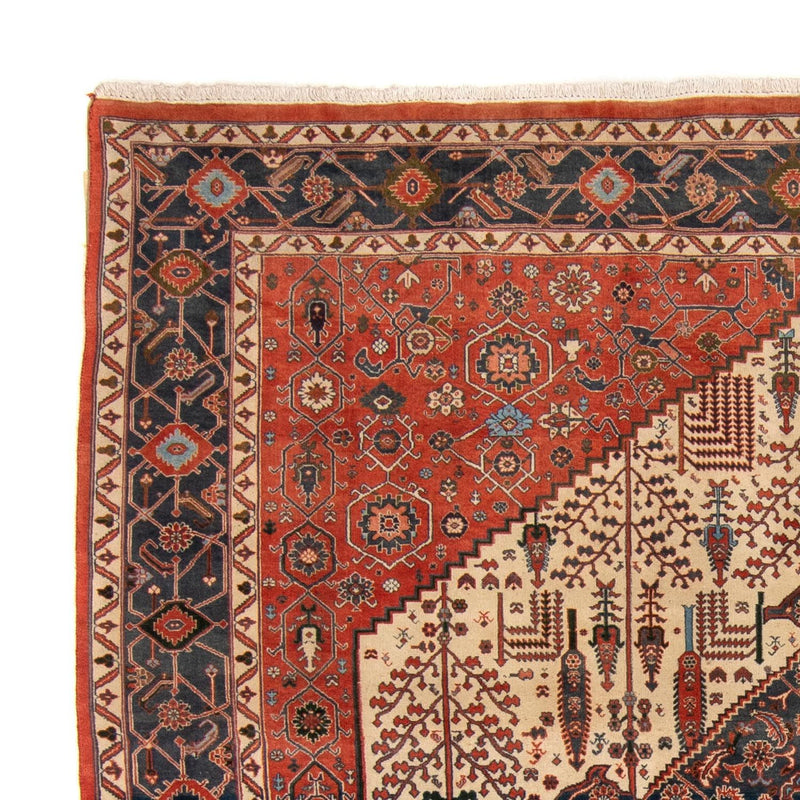 Kashkuli Tapete 230x258cm - Tapete persa