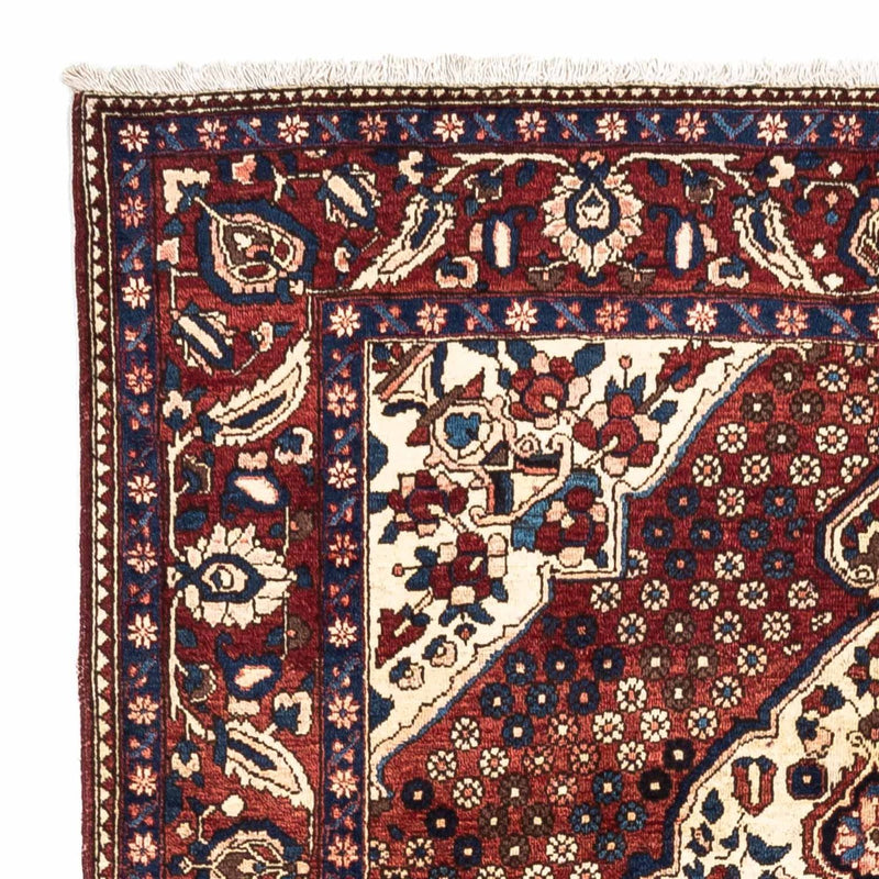 Bakhtiari Tapete 263x158cm - Tapete persa