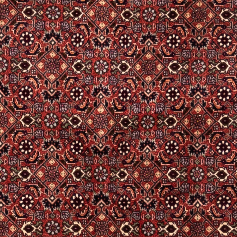 Bidjar - Takab Tapete 293x200cm - Tapete persa