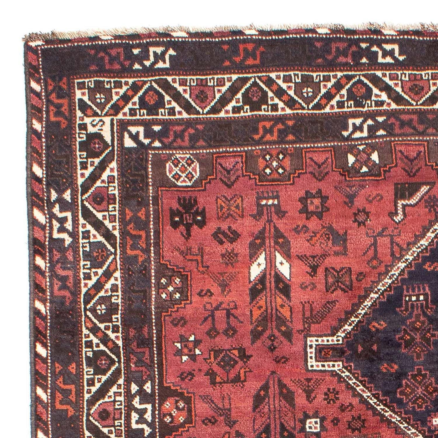 Shiraz Tapete 303x206cm - Tapete persa