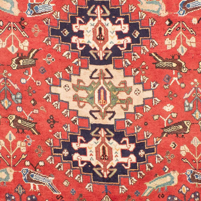 Shiraz Tapete 257x205cm - Tapete persa