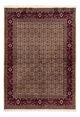 Moud Tapete 238x169cm - Tapete persa