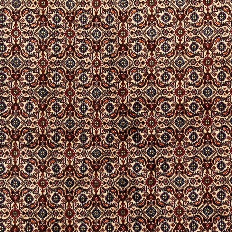 Moud Tapete 238x169cm - Tapete persa