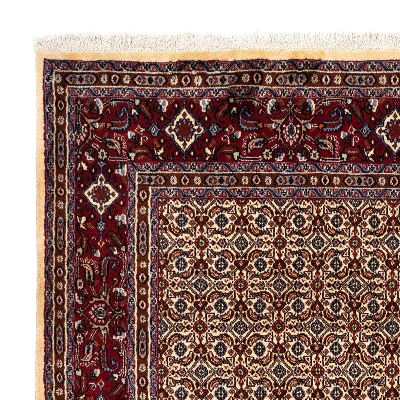 Moud Tapete 238x169cm - Tapete persa