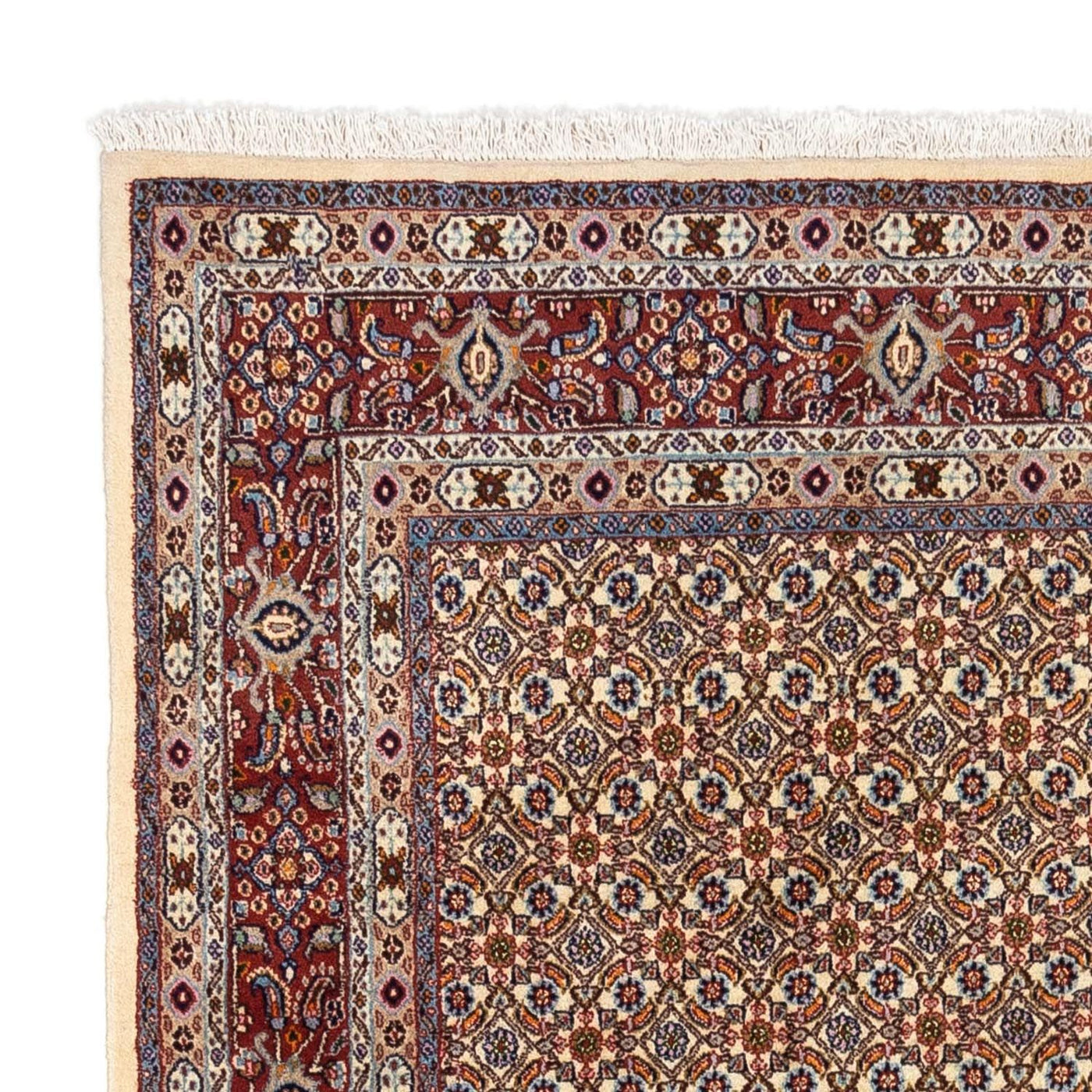 Moud Tapete 238x167cm - Tapete persa