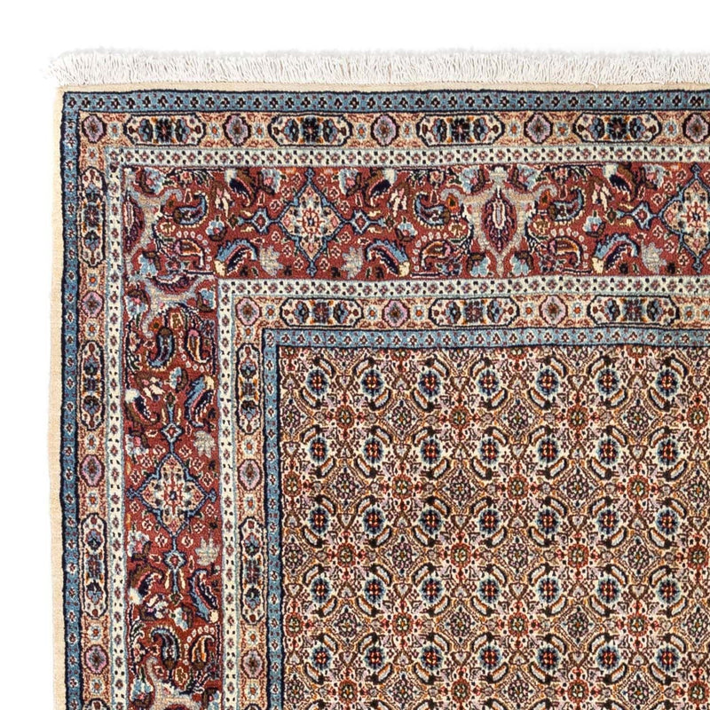 Moud Tapete 235x168cm - Tapete persa