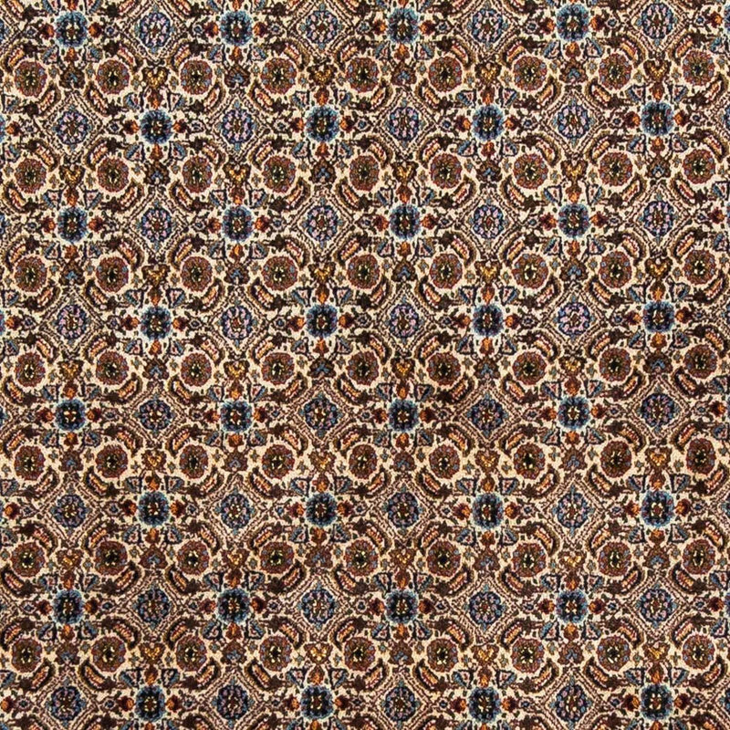 Moud Tapete 250x166cm - Tapete persa