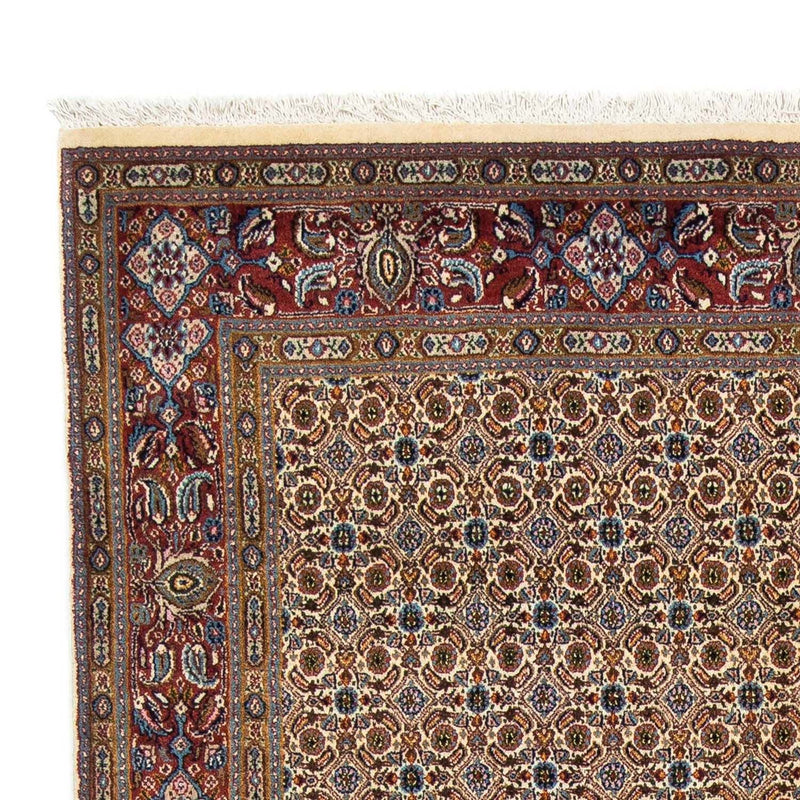 Moud Tapete 250x166cm - Tapete persa
