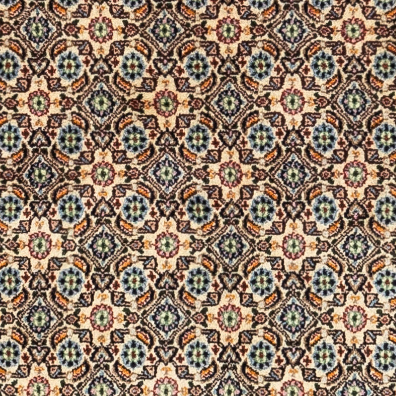 Moud Tapete 234x167cm - Tapete persa