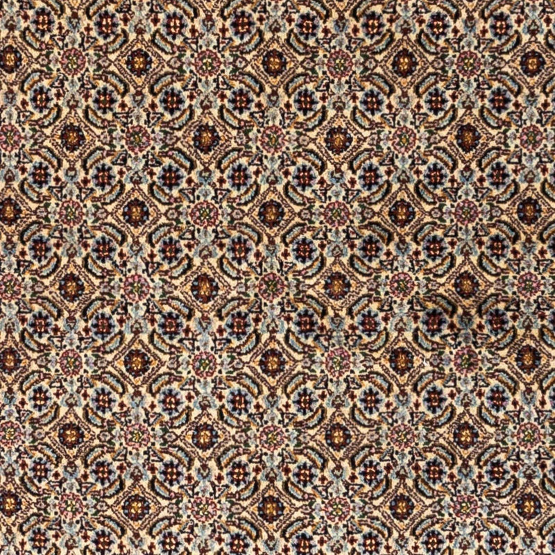 Moud Tapete 235x152cm - Tapete persa