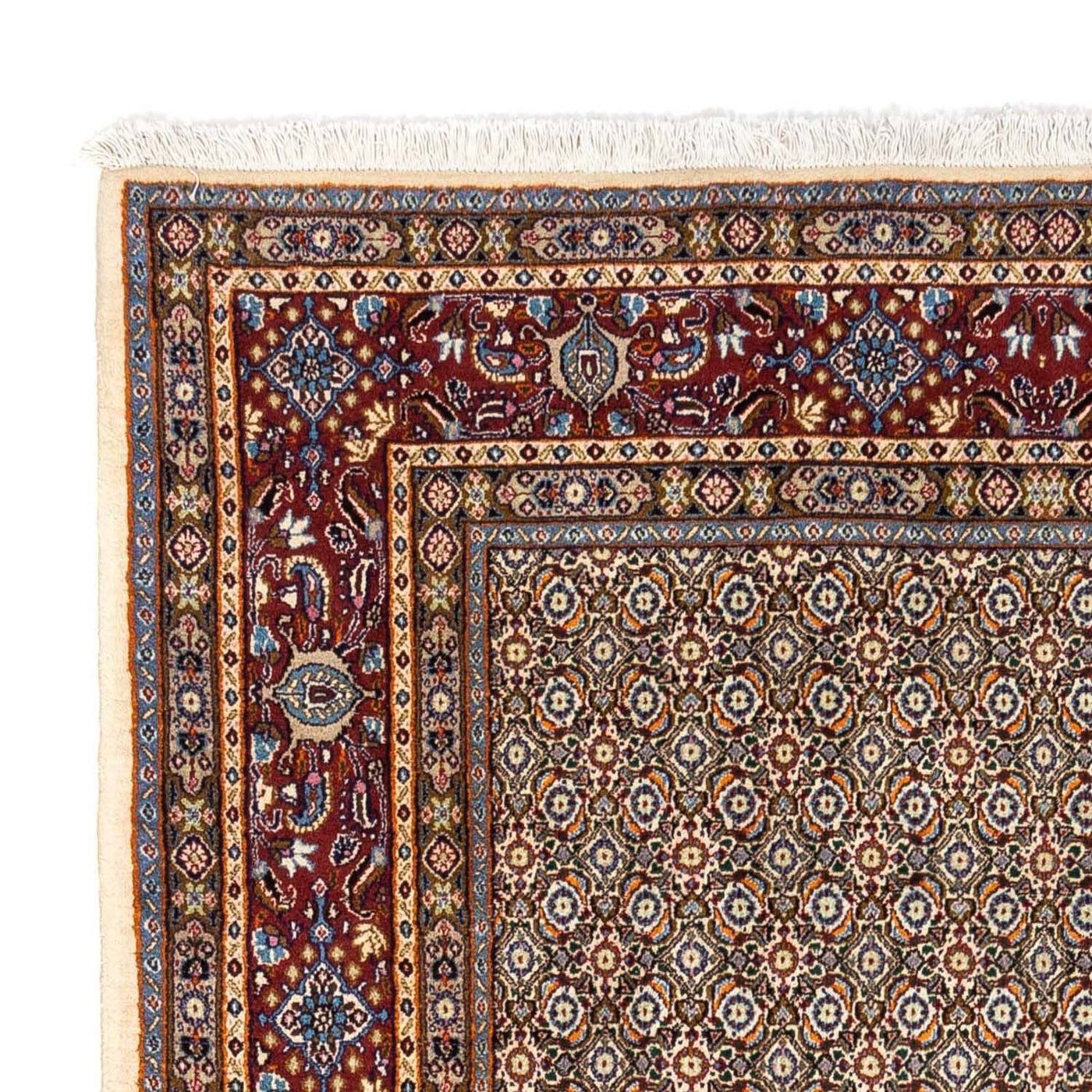 Moud Tapete 234x168cm - Tapete persa