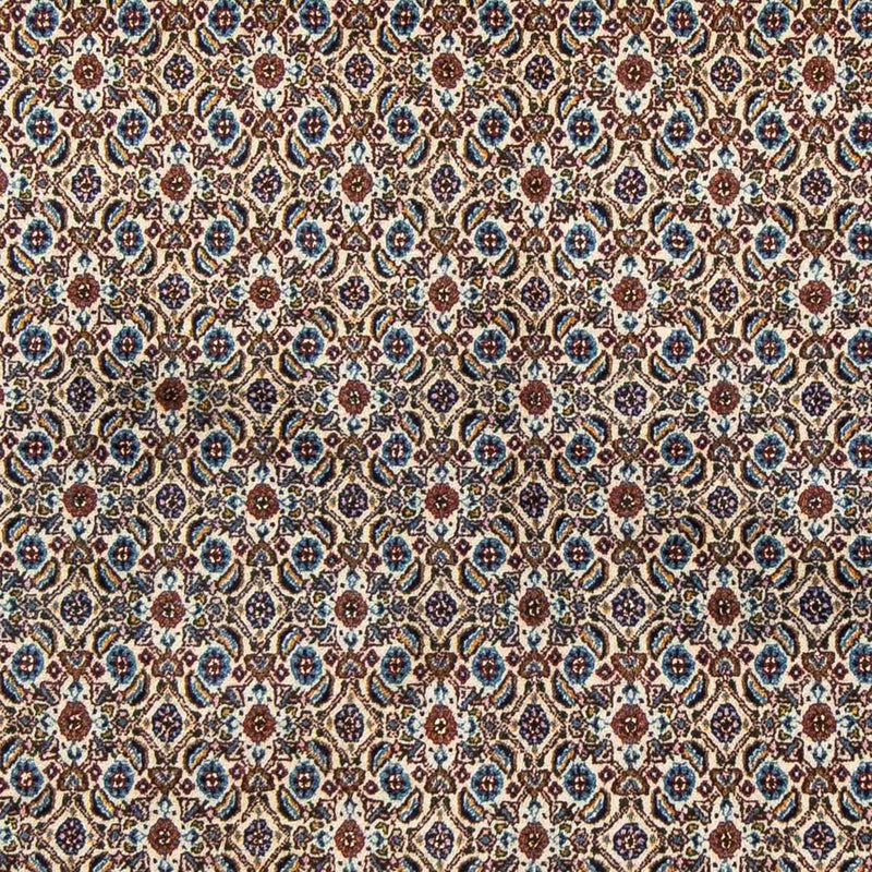 Moud Tapete 170x235cm - Tapete persa