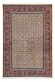 Moud Tapete 246x168cm - Tapete persa