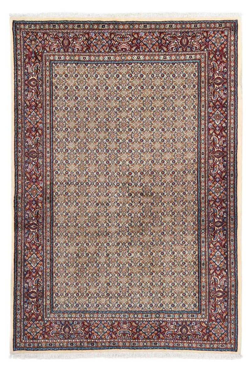 Moud Tapete 246x168cm - Tapete persa