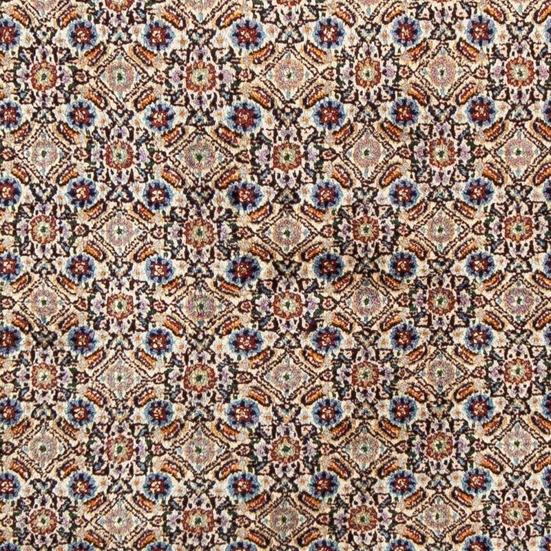 Moud Tapete 246x168cm - Tapete persa