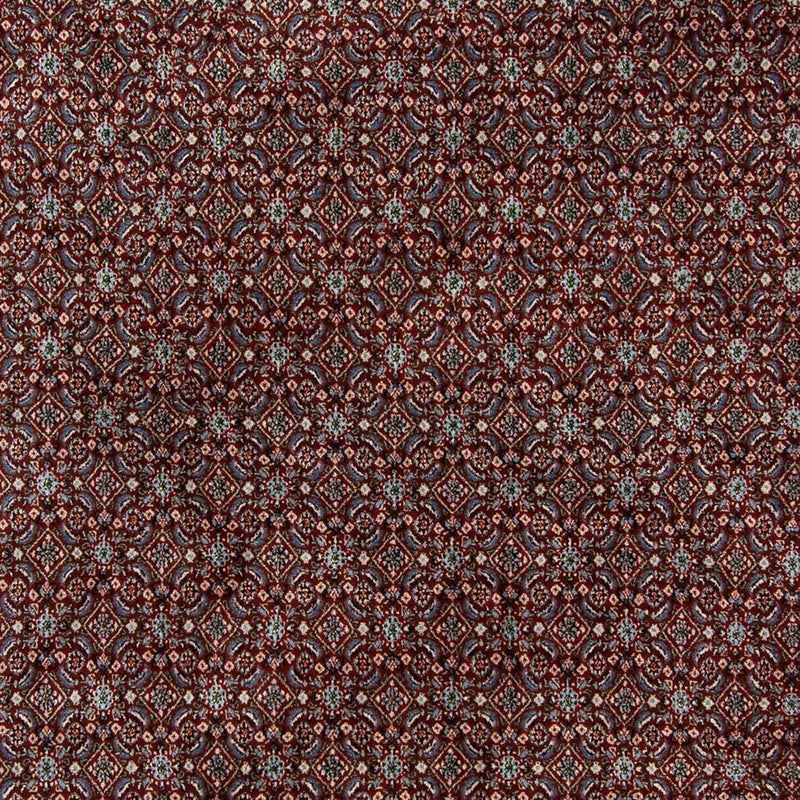 Moud Tapete 296x193cm - Tapete persa