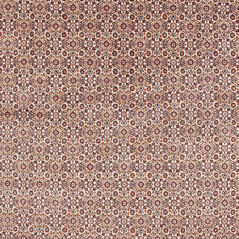 Moud Tapete 196x244cm - Tapete persa