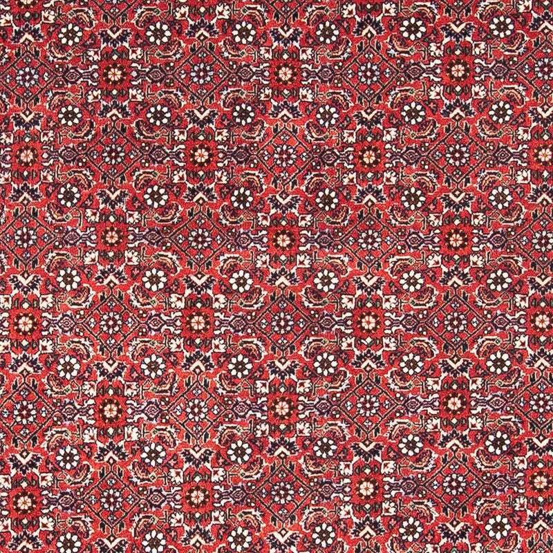 Bidjar Tapete 111x174cm - Tapete persa