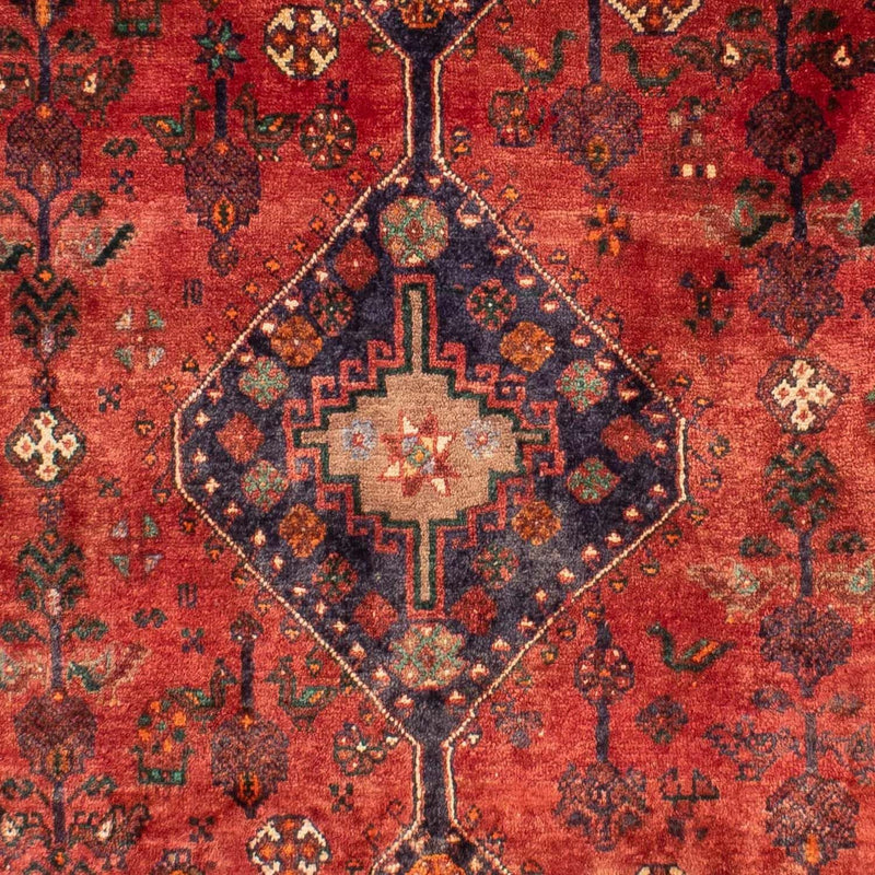 Shiraz Tapete 306x212cm - Tapete persa