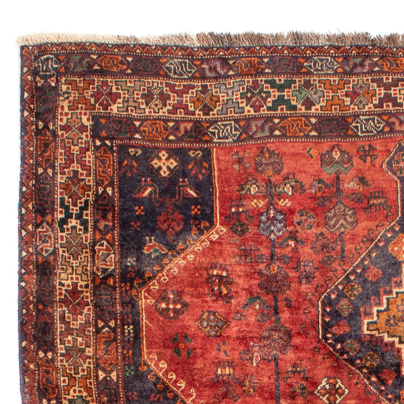Shiraz Tapete 306x212cm - Tapete persa
