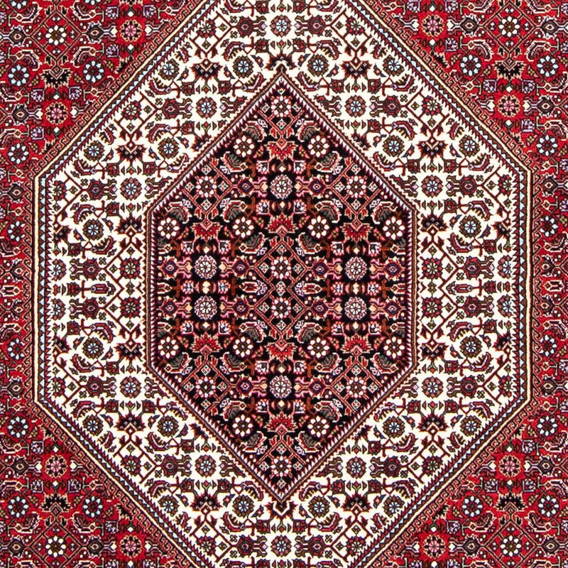 Bidjar Tapete 250x149cm - Tapete persa