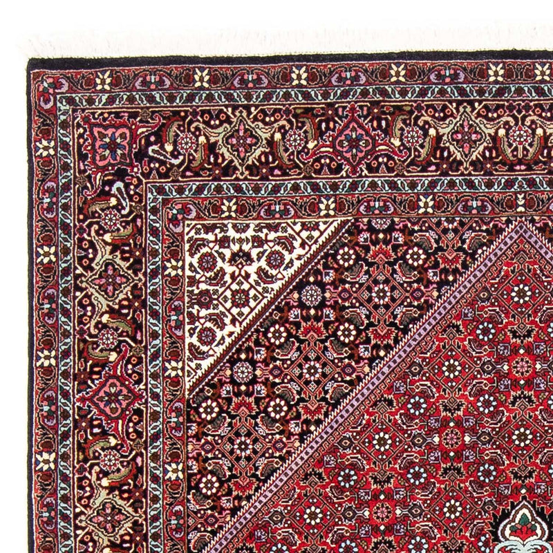 Bidjar Tapete 250x149cm - Tapete persa
