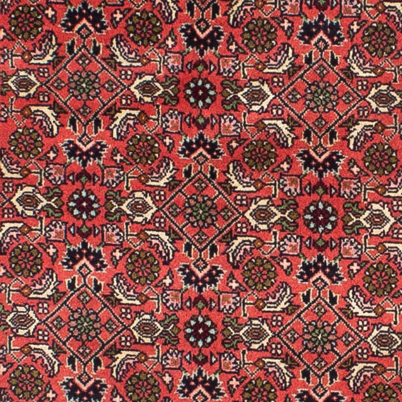 Corredor Tapete Persa - Bijar - 248 x 71 cm - vermelho claro