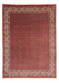 Tapete Persa - Bijar - 330 x 246 cm - vermelho – product image