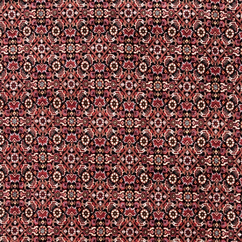 Bidjar - Takab Tapete 246x345cm - Tapete persa