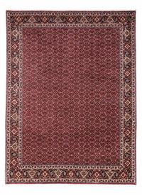 Bidjar - Takab Tapete 349x250cm - Tapete persa – product image