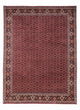 Bidjar - Takab Tapete 349x250cm - Tapete persa