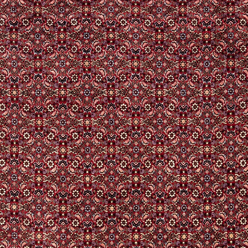 Bidjar - Takab Tapete 349x250cm - Tapete persa