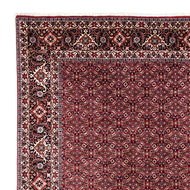 Bidjar - Takab Tapete 349x250cm - Tapete persa
