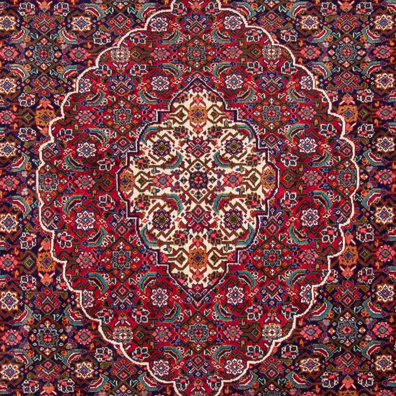 Sarouk Tapete 310x248cm - Tapete persa