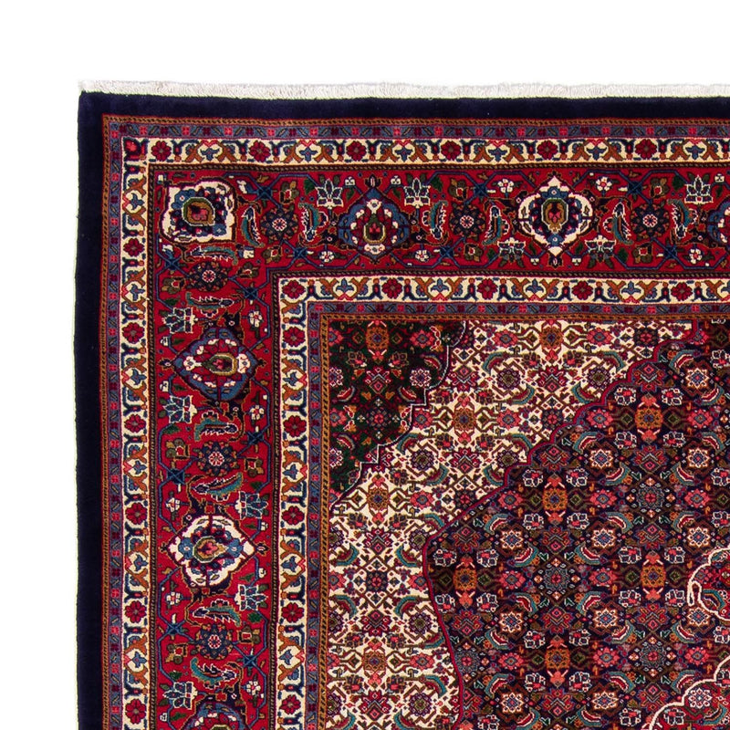 Sarouk Tapete 310x248cm - Tapete persa