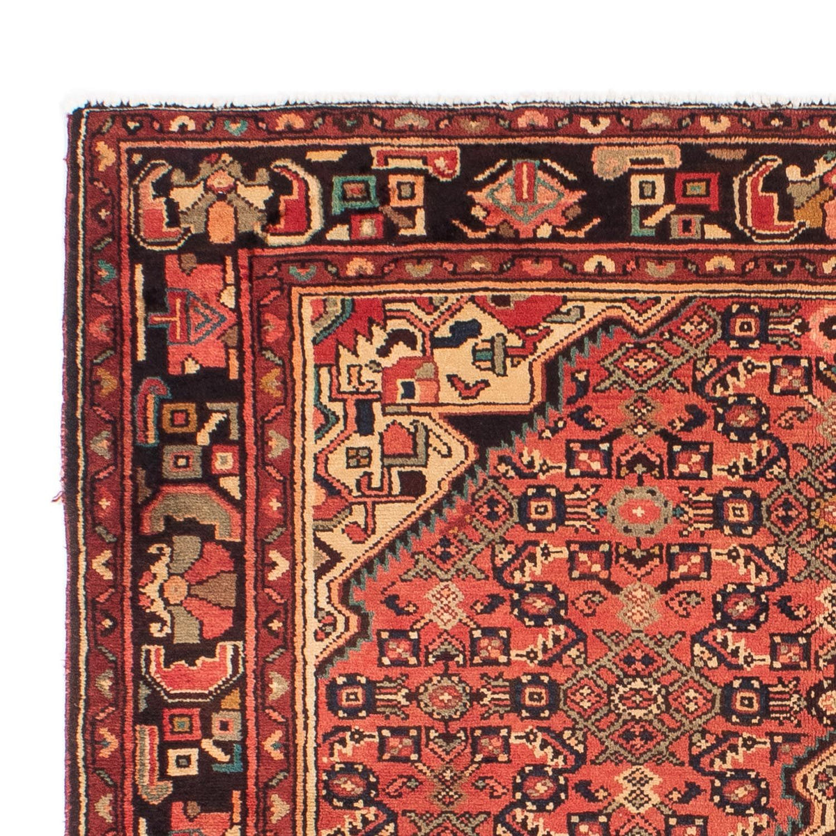 Hosseinabad Tapete 163x216cm - Tapete persa