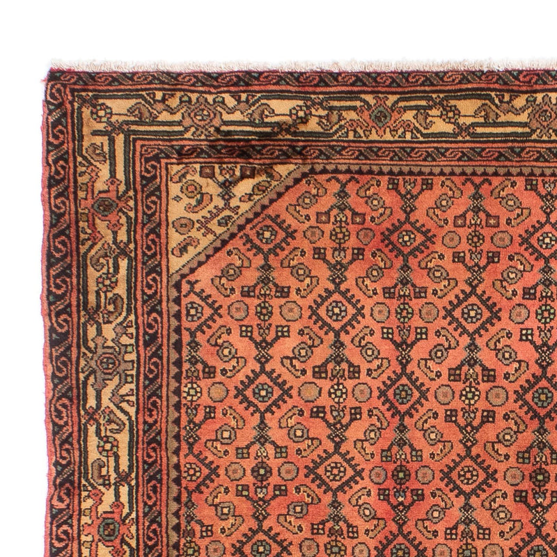 Hosseinabad Tapete 200x155cm - Tapete persa