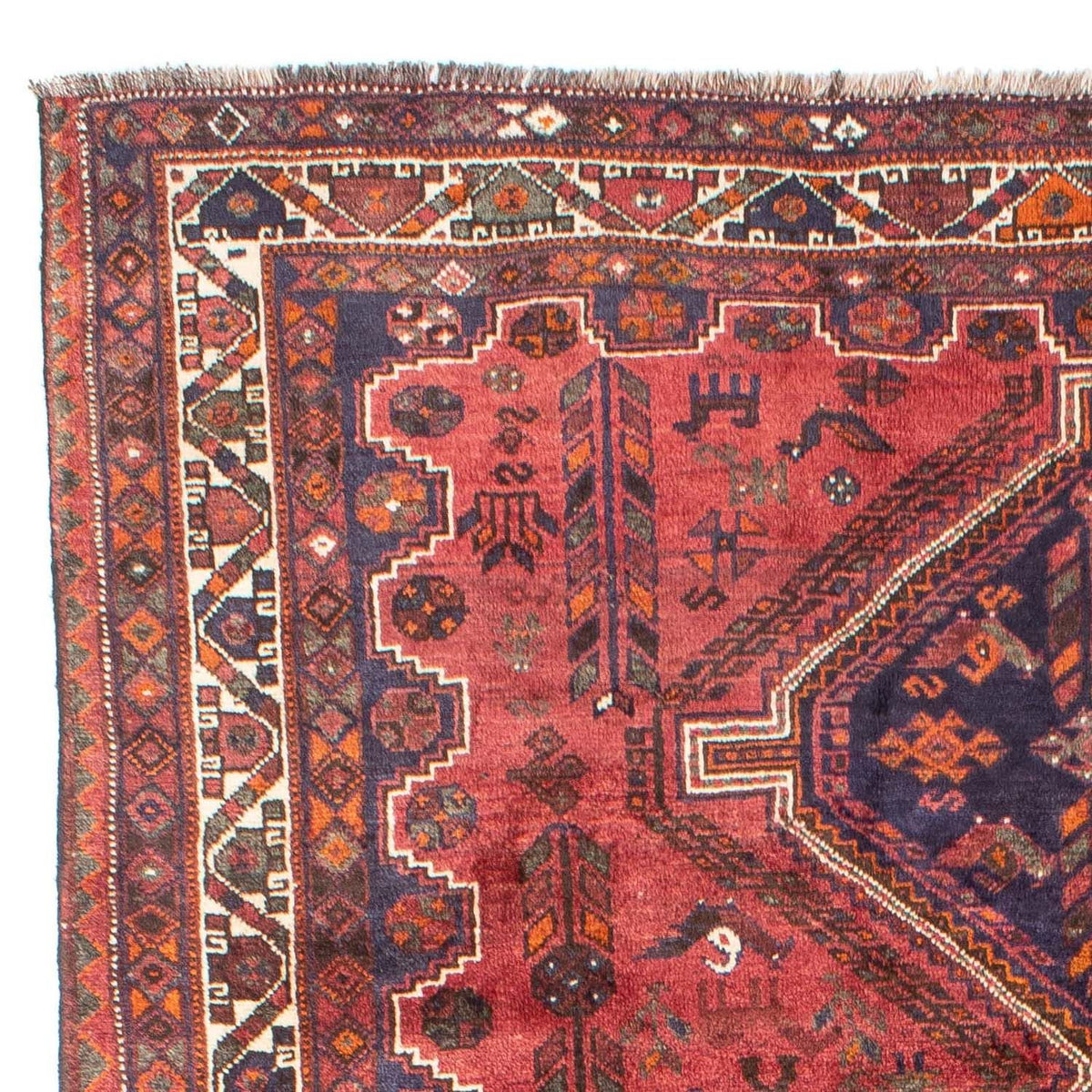 Shiraz Tapete 201x287cm - Tapete persa