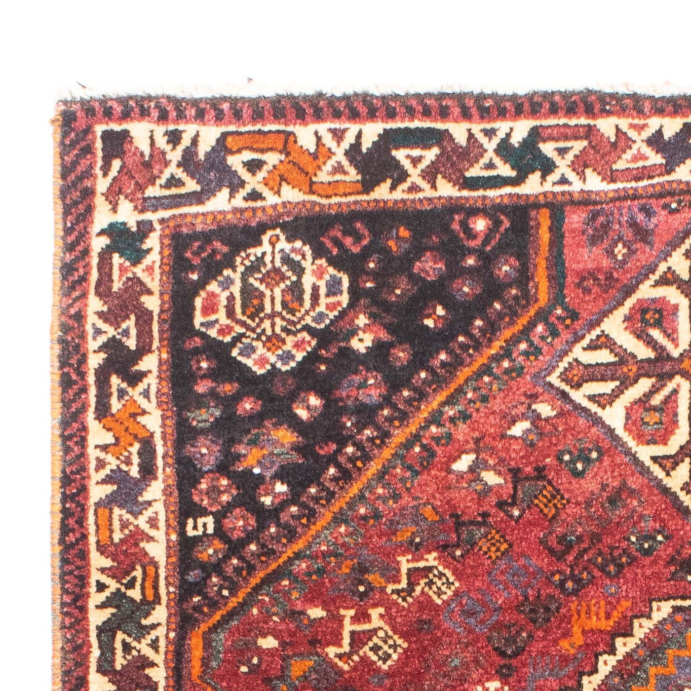 Shiraz Tapete 160x110cm - Tapete persa