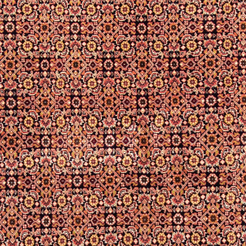 Bidjar Tapete 235x171cm - Tapete persa