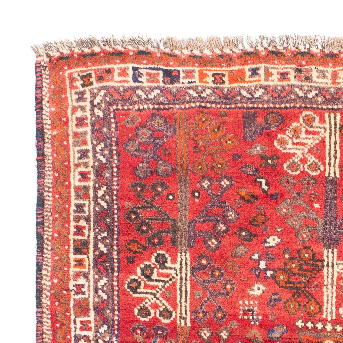 Shiraz Tapete 162x110cm - Tapete persa