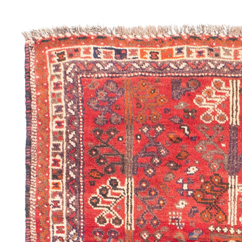 Shiraz Tapete 162x110cm - Tapete persa