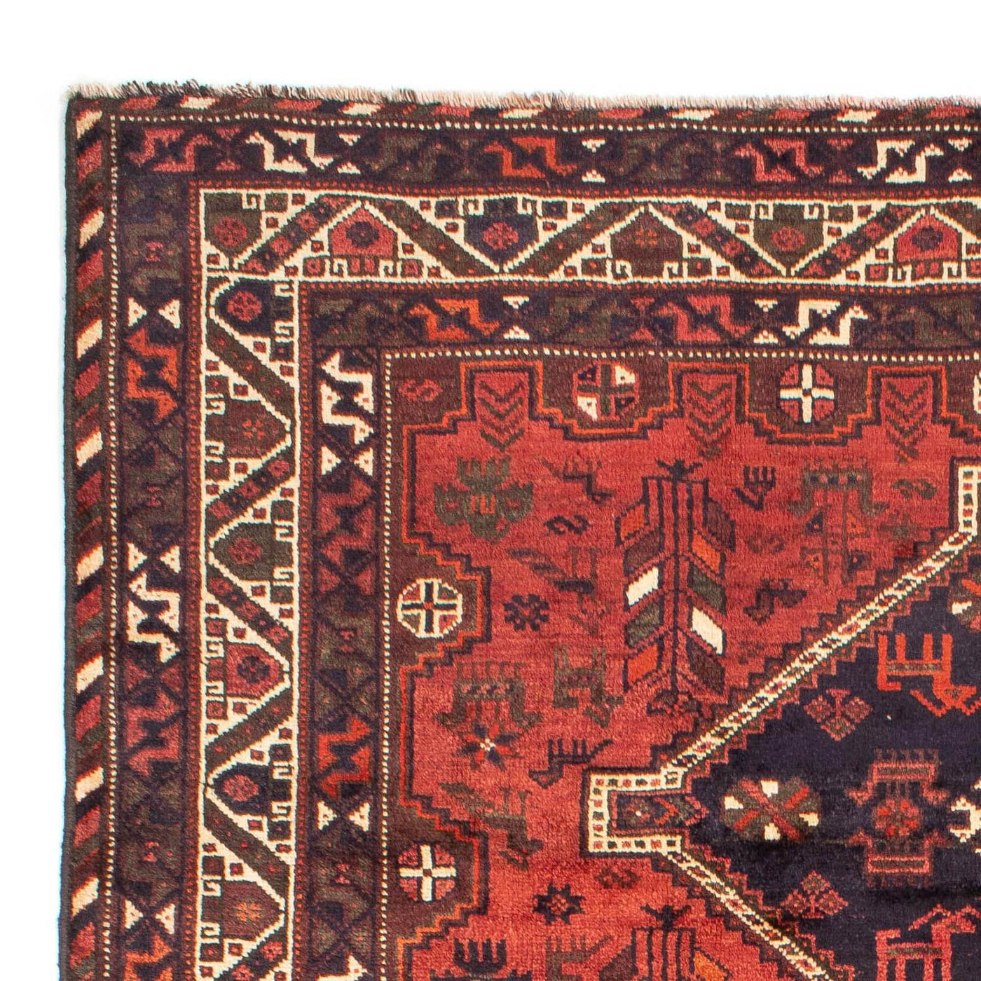 Shiraz Tapete 312x221cm - Tapete persa