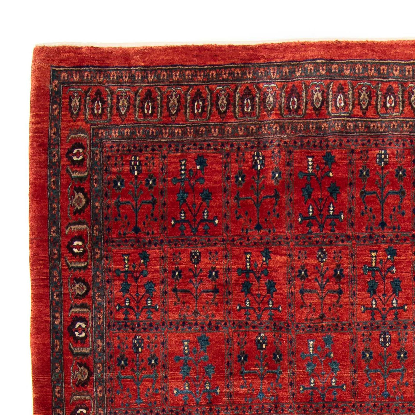 Kashkuli Tapete 345x260cm - Tapete persa